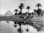 An arab village near the Pyramids